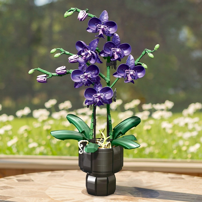Moonlit Nights Blossoming Mornings A Romantic Flower-Themed Buil